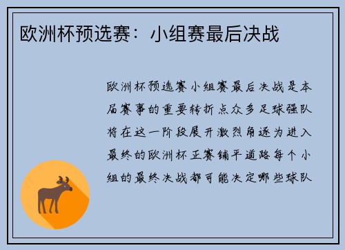 欧洲杯预选赛：小组赛最后决战