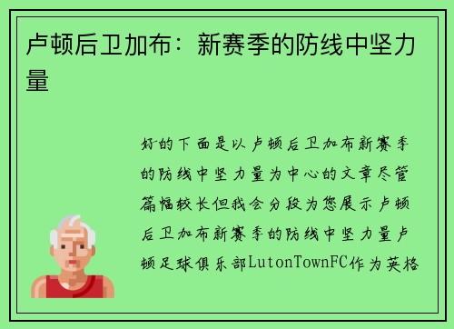 卢顿后卫加布：新赛季的防线中坚力量